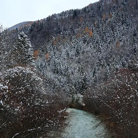 Apartment River2mountain Cozy Gozd Martuljek