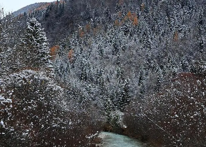 Appartement River2mountain Cozy Gozd Martuljek